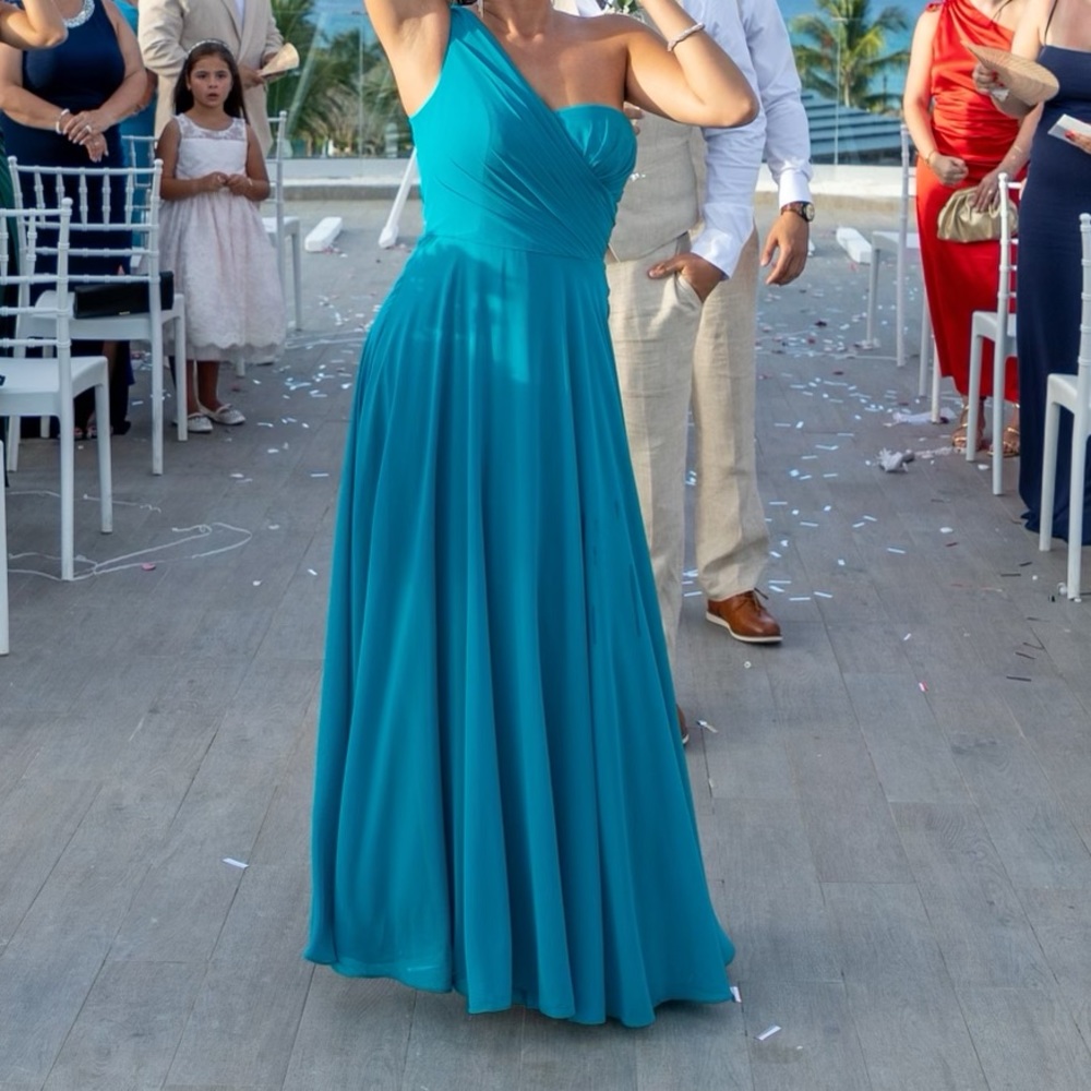 David’s Bridal Bridesmaid Dress